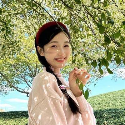 罪网